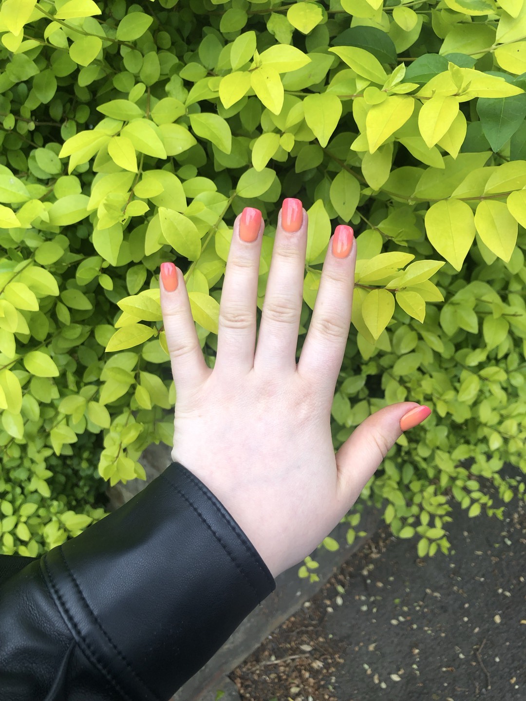 Square ombre nail design by Elisabete