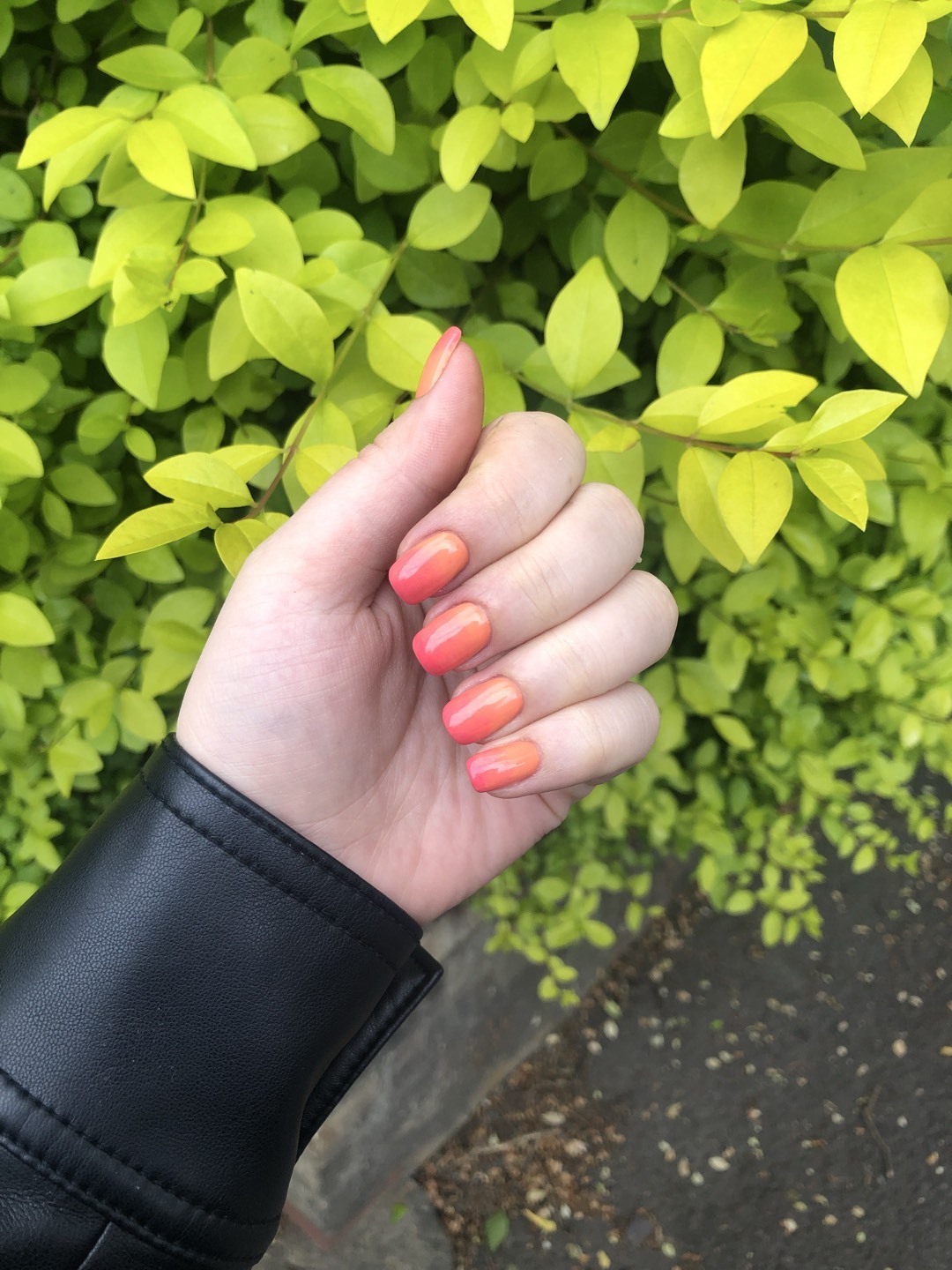 Square nail design by @elisabetekolesnikov